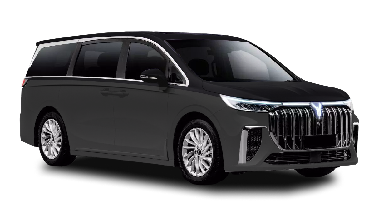 Voyah Dream Черный