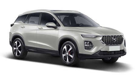 Haima 8s СЕРЫЙ / QUANTUM GREY